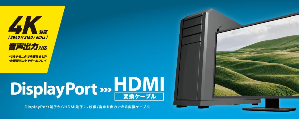 DisplayPort – HDMI 変換ケーブル [DP-HDC20]